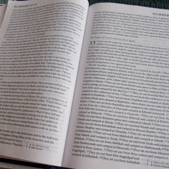 NRSV Holy Bible Catholic Edition Anglicized Text 2007 Harper Leather Touch HC - Picture 6 of 10